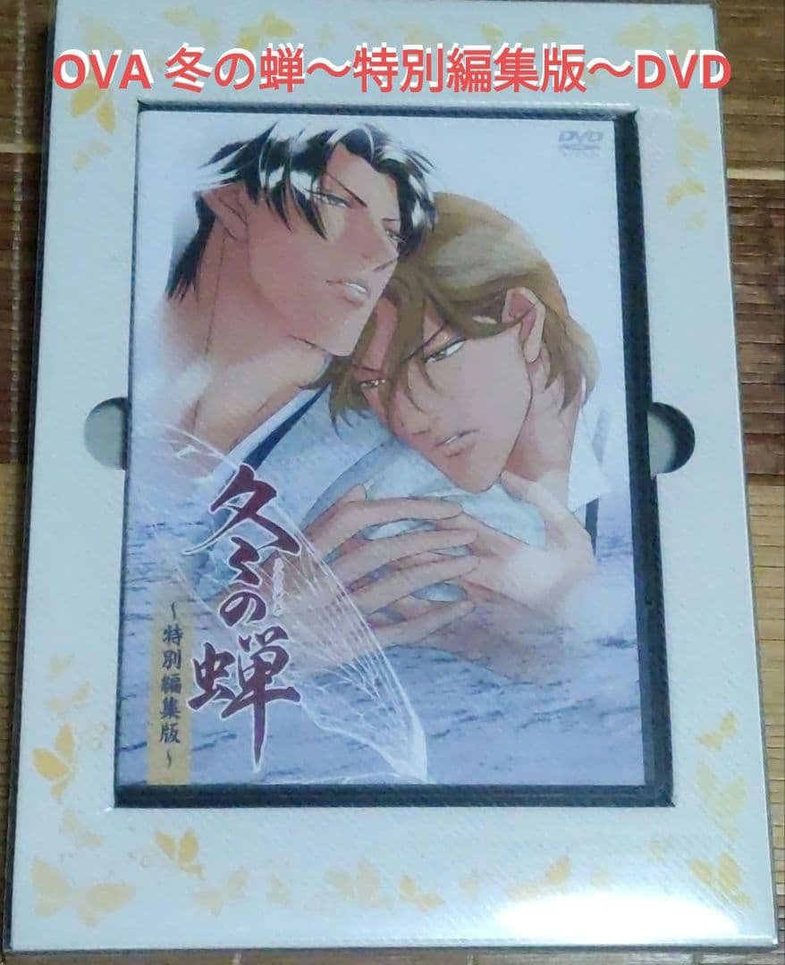 冬の蝉～特別編集版～ 初回盤　購入特典付き