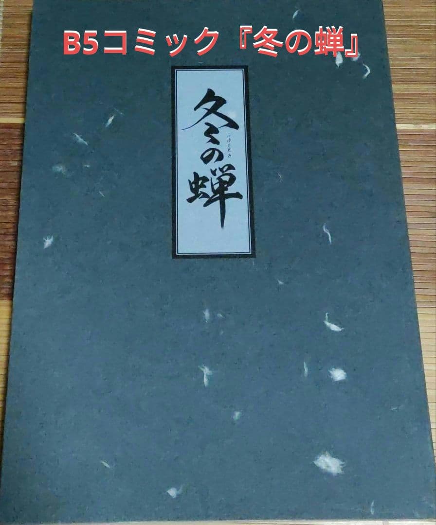冬の蝉～特別編集版～ 初回盤　購入特典付き