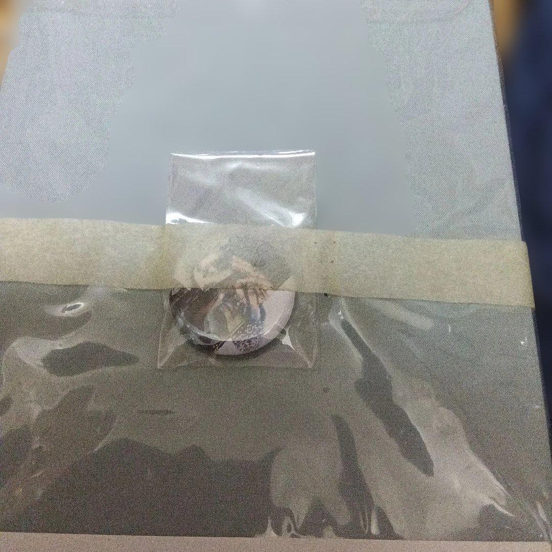 ヨルシカ盗作(初回限定版)未開封未使用品