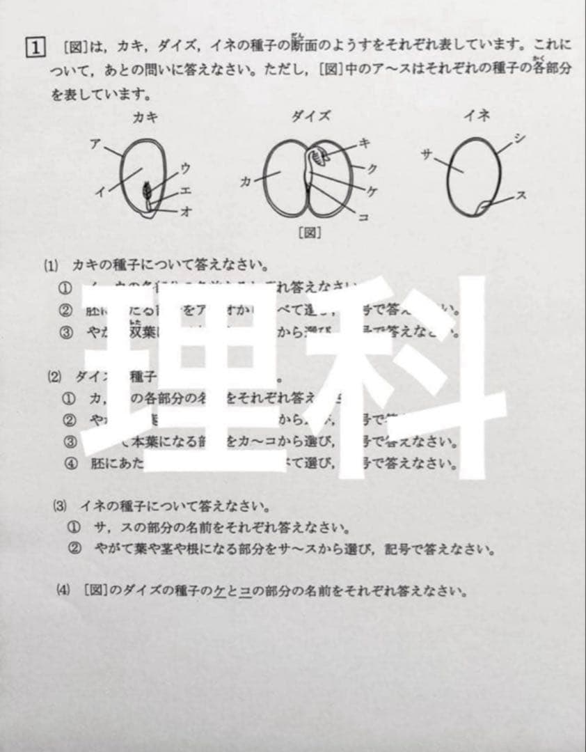 浜学園　小5 2024年度　3科目　Vクラス　復習テスト 国語、算数、理科