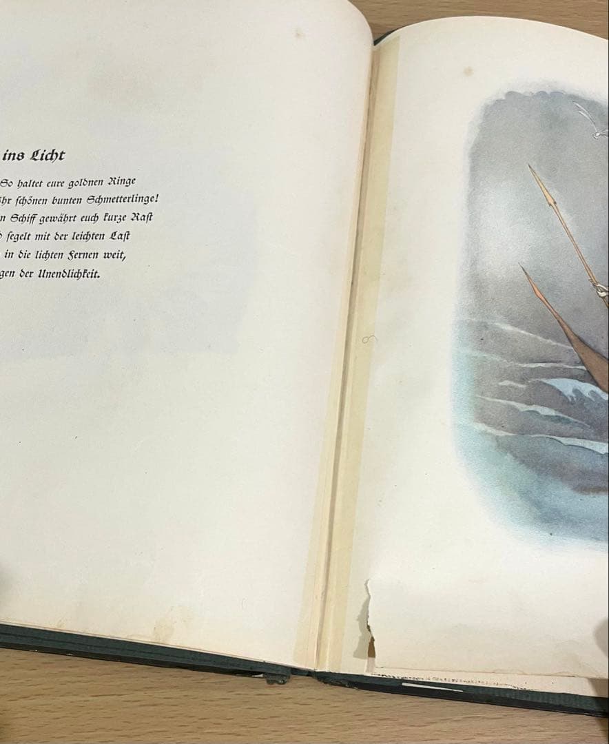 No.321レア 超希少 アンティーク 古書 洋書 ドイツ 絵本 ビンテージ