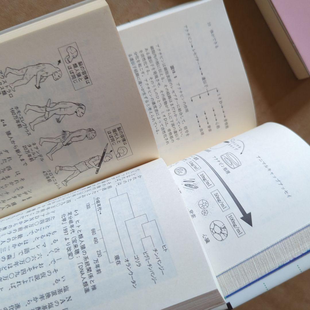 ブルーバックス記憶力を強くする 脳科学　遺伝子　分子生物学　犯罪捜査