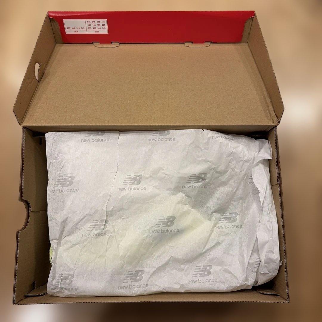 ニューバランス　1080 v15 27cm 2E