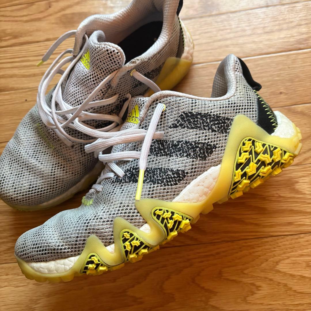 ゴルフシューズ　コードカオス22