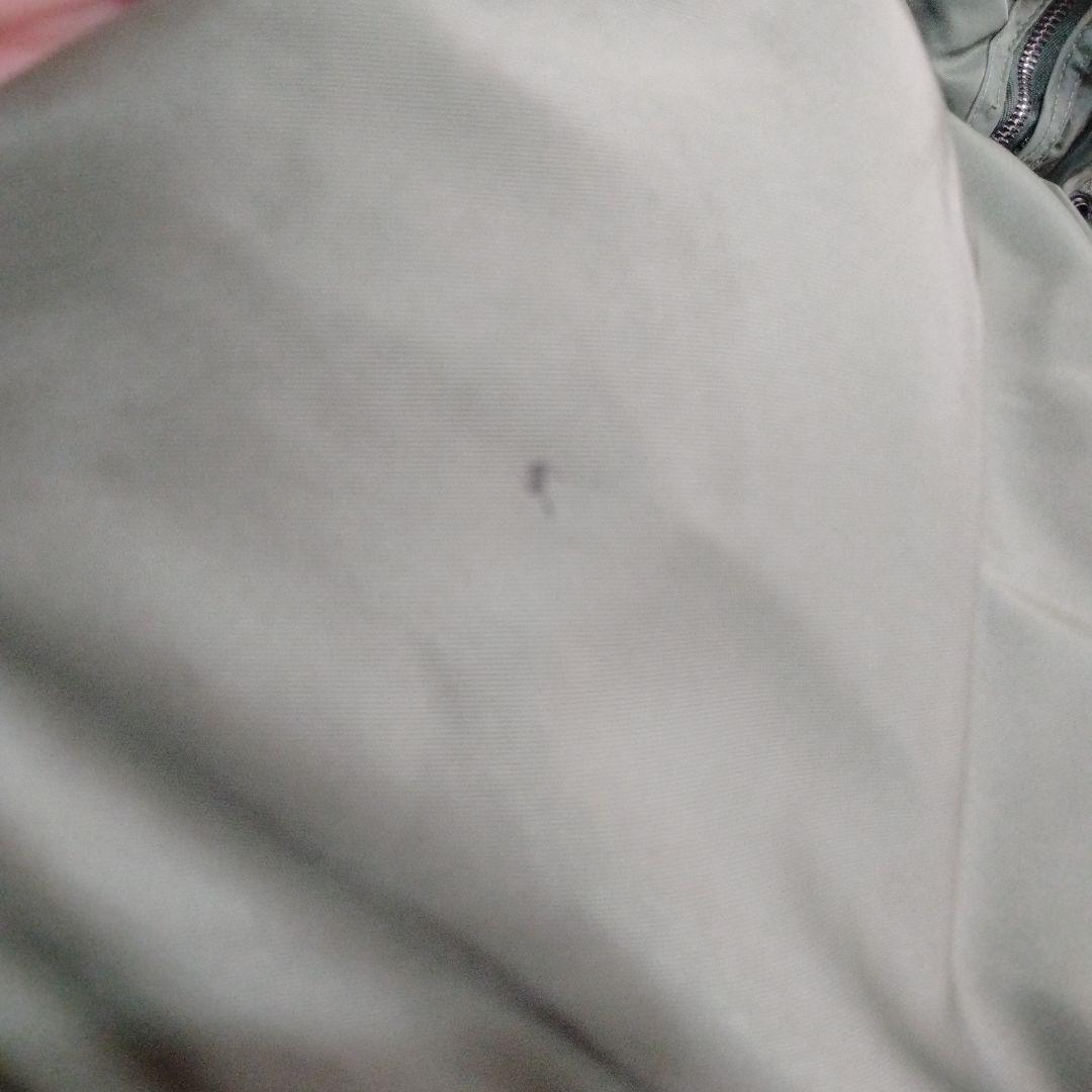 ビンテージスピワック緑タグN-2Bフード付きコヨーテナイロンフライトJKT緑44