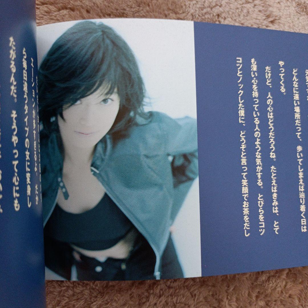 ☆貴重☆ 中森明菜 1995年 TRUE LIVE パンフレット