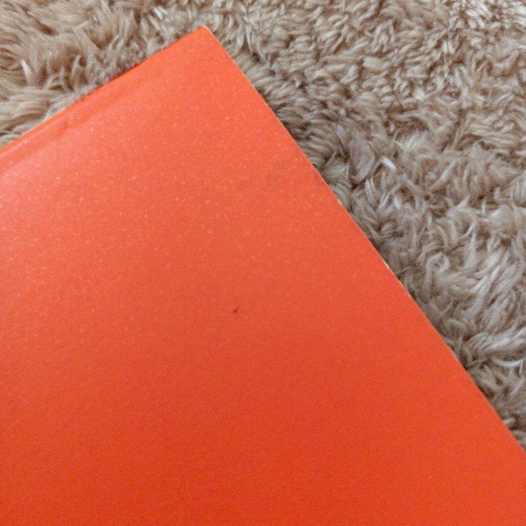 ☆貴重☆ 中森明菜 1995年 TRUE LIVE パンフレット