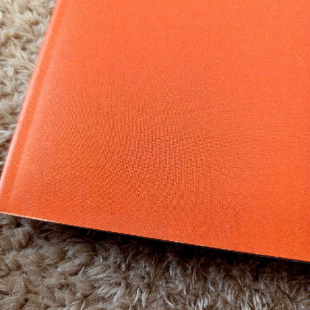 ☆貴重☆ 中森明菜 1995年 TRUE LIVE パンフレット