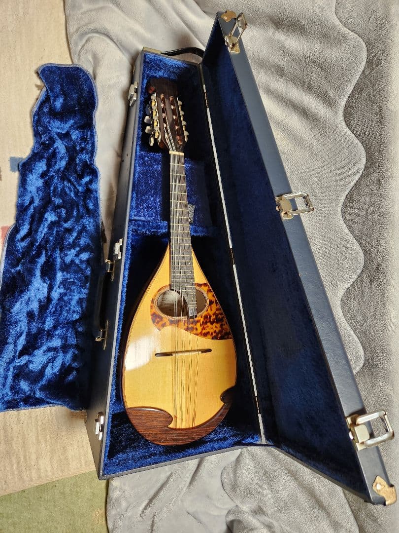 Raffaele 寺田楽器製 マンドリン RM-3