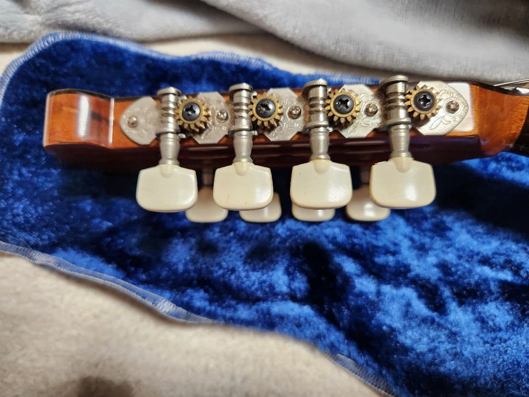 Raffaele 寺田楽器製 マンドリン RM-3