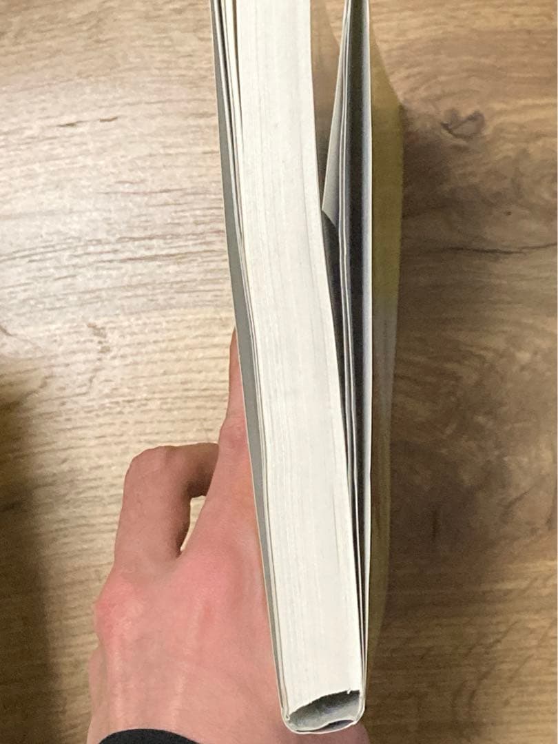 【再製本品】聖文新社 無限級数の解法研究 河田直樹