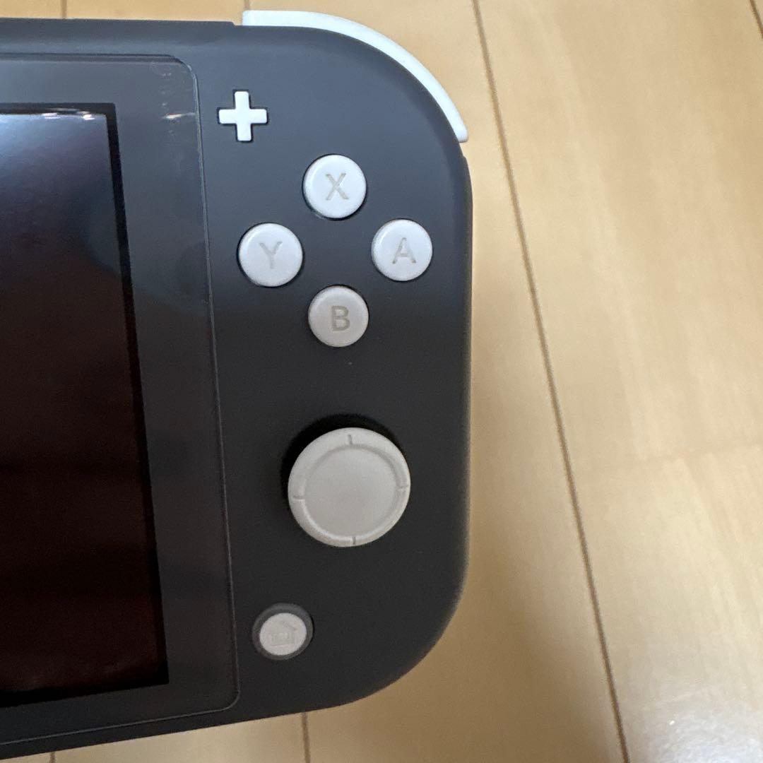 Switch Lite 動作確認済み グレー 本体 充電器 箱