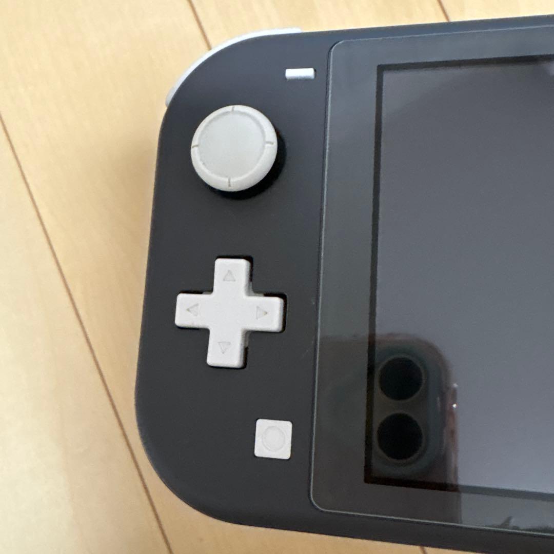 Switch Lite 動作確認済み グレー 本体 充電器 箱