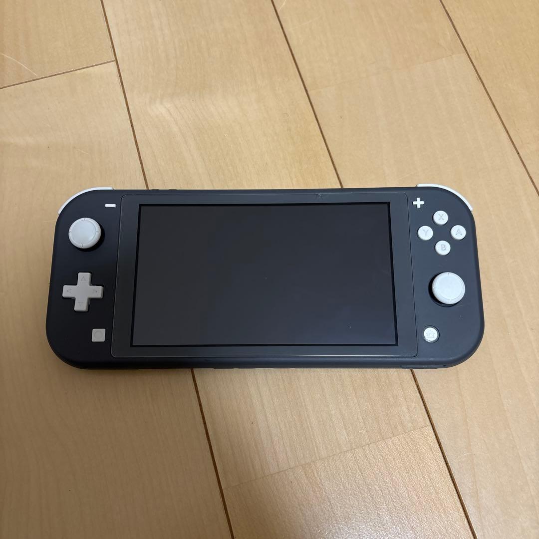 Switch Lite 動作確認済み グレー 本体 充電器 箱