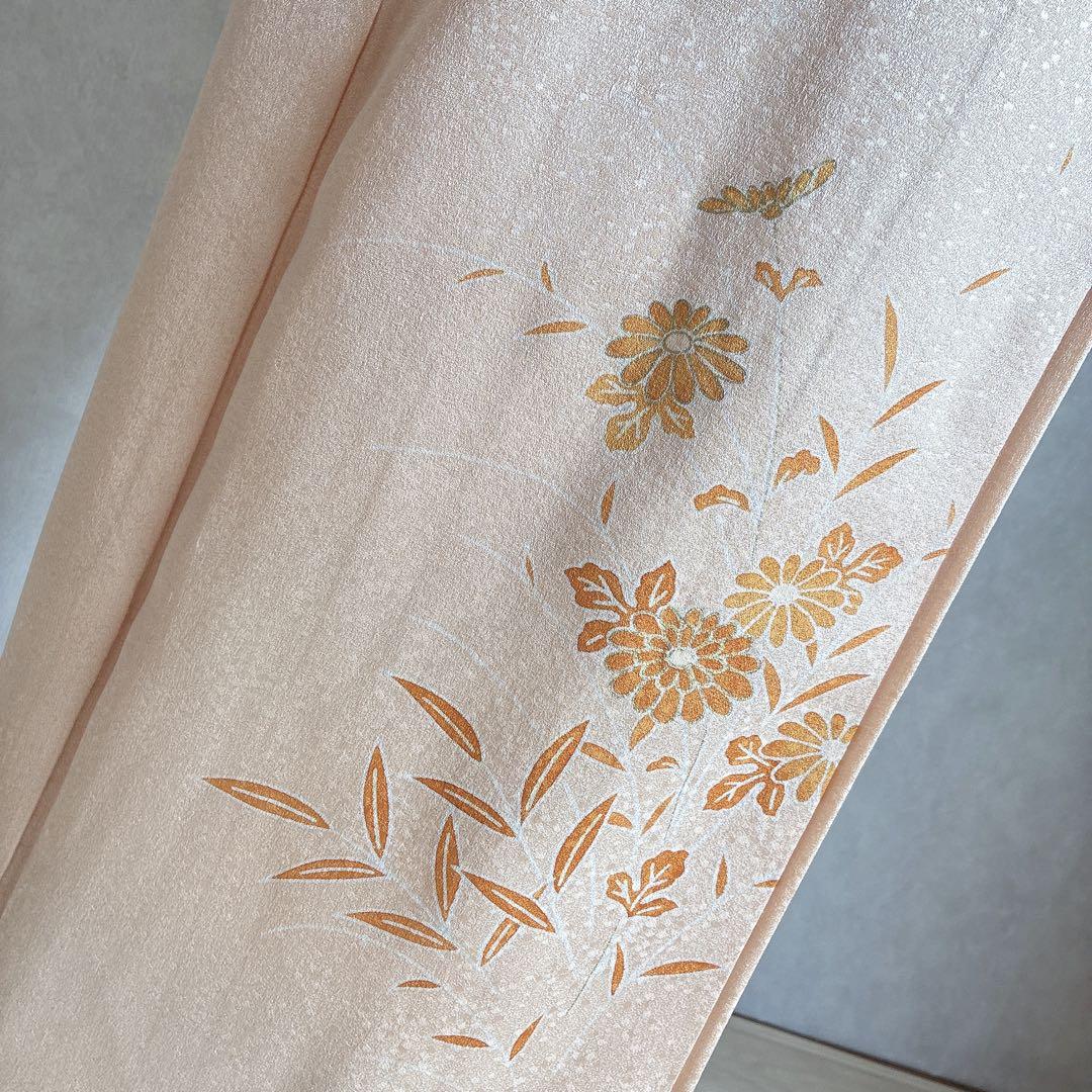 〈長襦袢半衿➕〉付け下げ　フルセット　着物　正絹　ロング丈　杏色　おしどりJ9