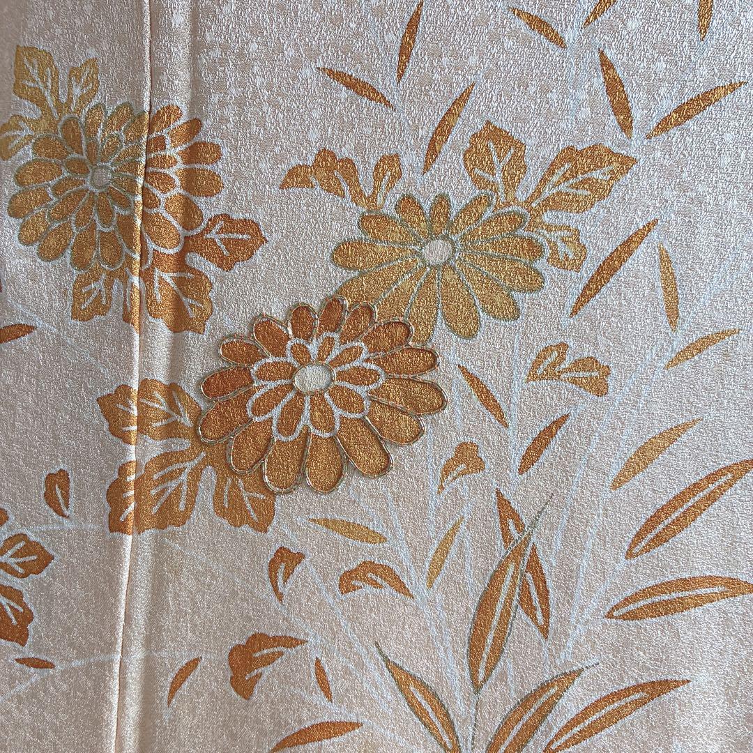 〈長襦袢半衿➕〉付け下げ　フルセット　着物　正絹　ロング丈　杏色　おしどりJ9