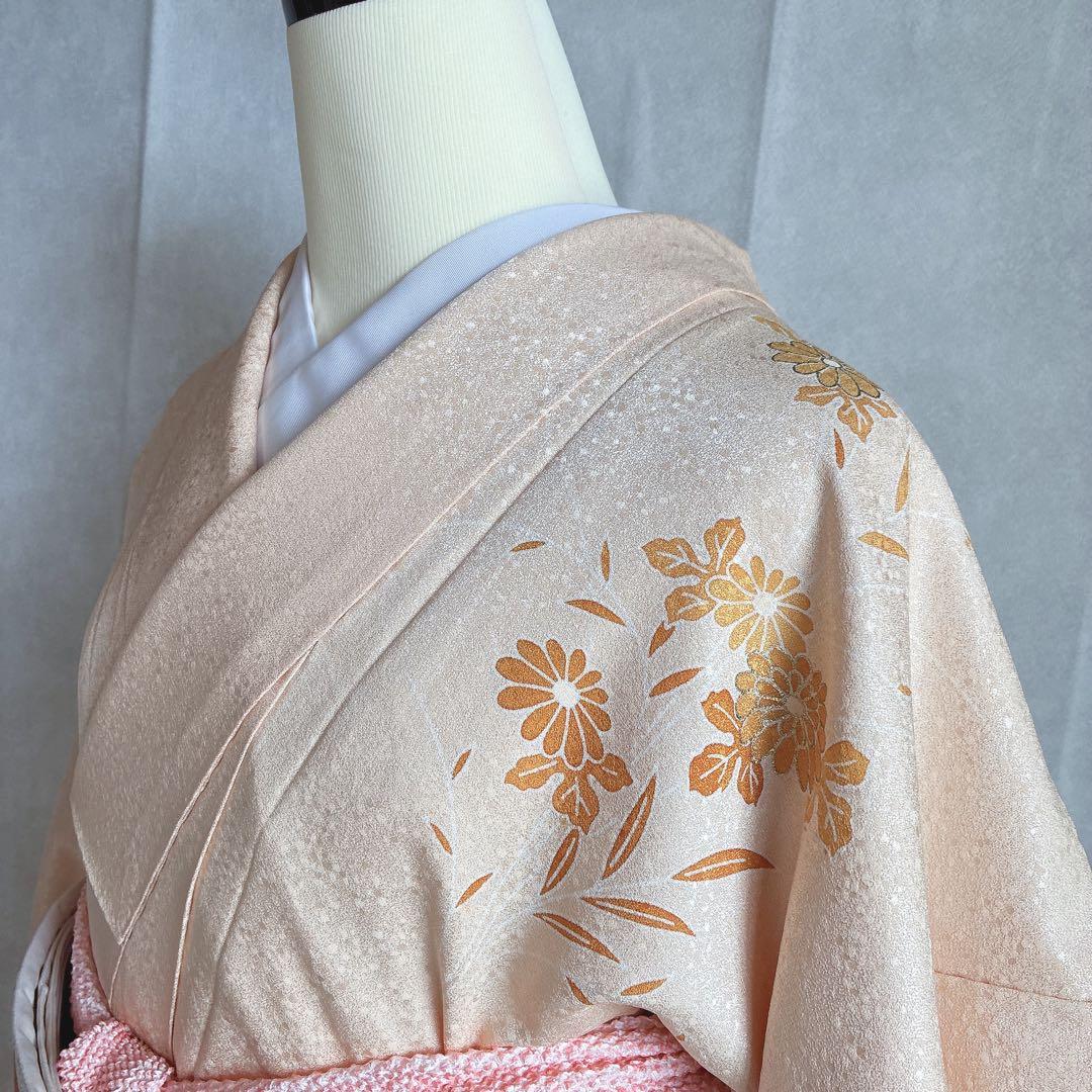 〈長襦袢半衿➕〉付け下げ　フルセット　着物　正絹　ロング丈　杏色　おしどりJ9