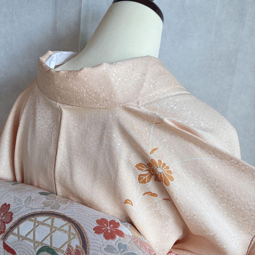 〈長襦袢半衿➕〉付け下げ　フルセット　着物　正絹　ロング丈　杏色　おしどりJ9