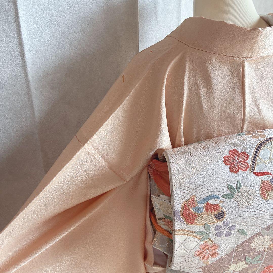 〈長襦袢半衿➕〉付け下げ　フルセット　着物　正絹　ロング丈　杏色　おしどりJ9