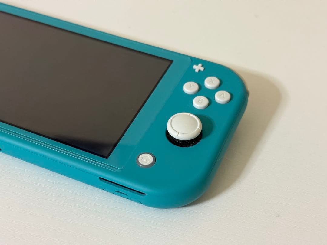 Nintendo Switch Light カセット2種＆充電器付