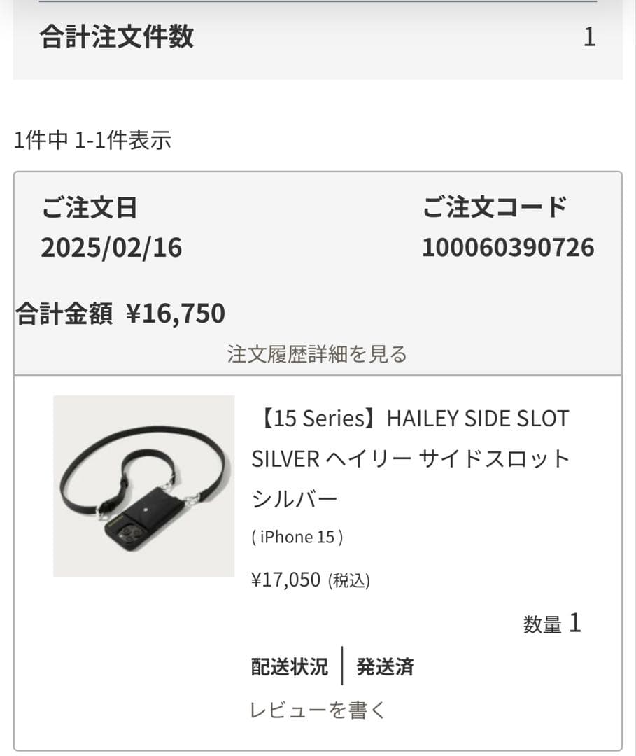 新品＊【iPhone15】BANDOLIER ヘイリー サイドスロット シルバー