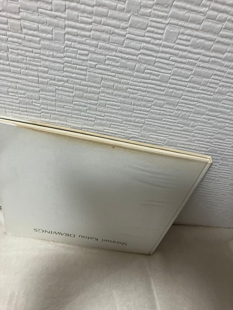 写真集 加藤晨明の素描 Shinmei Katou DRAWINGS