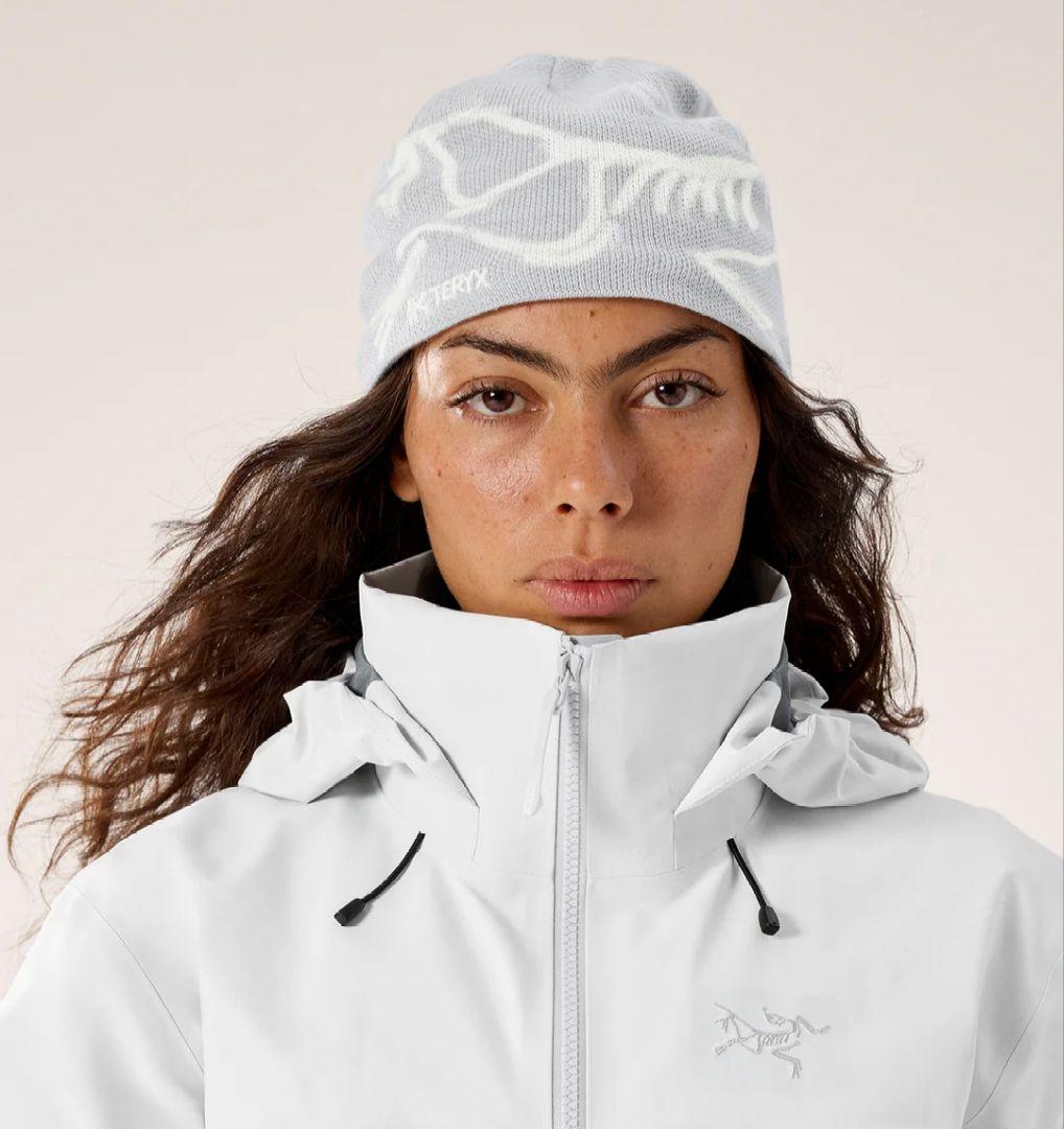 2025 Arc'teryx Bird Head Toque ソリチュード