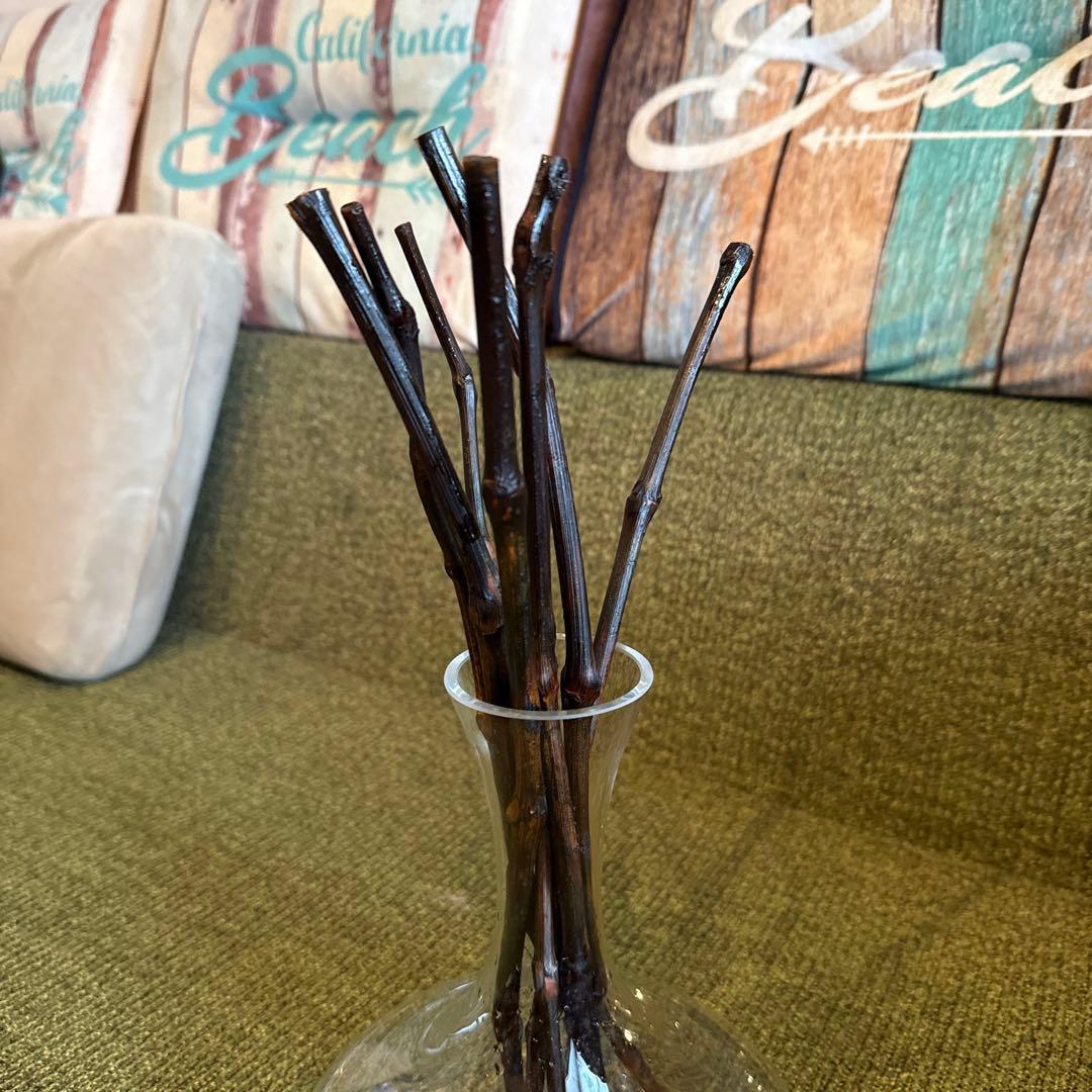 ロッソノービレ　デキャンタ　葡萄の木　7本