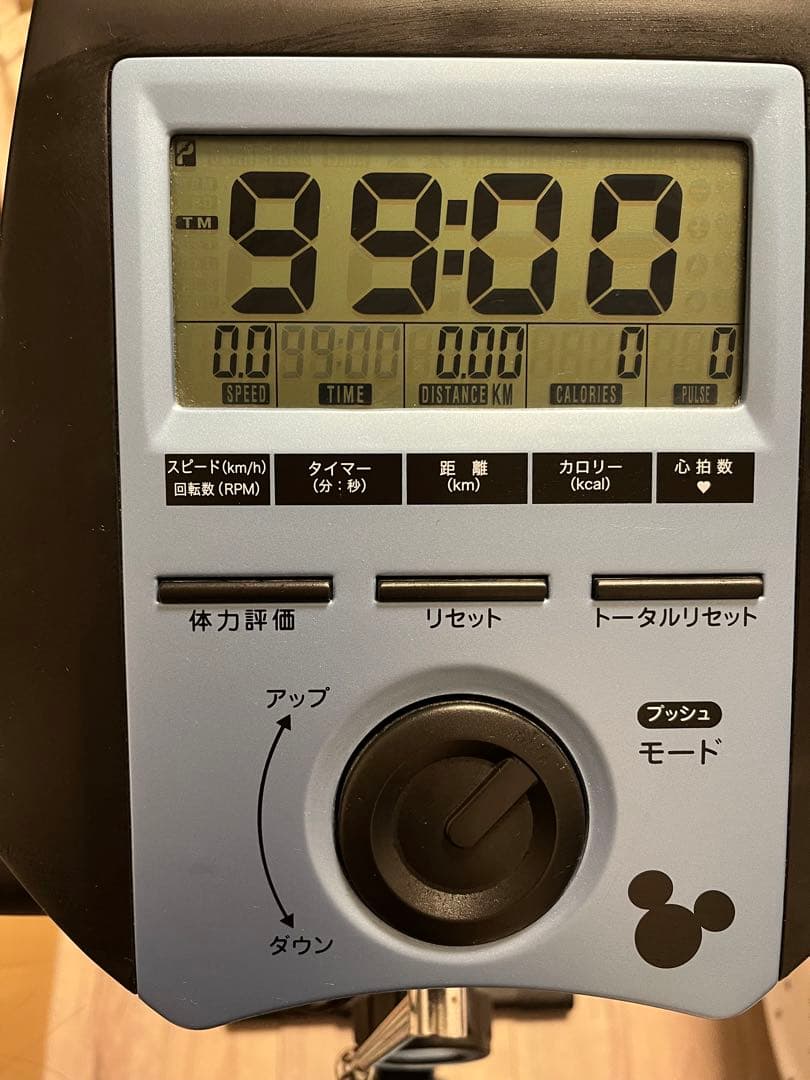 アルインコ(ALINCO) フィットネスバイクモデル DSY6219 ディズニー