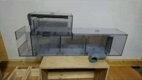 キンペコ　90アクリル水槽用レイシーポンプ仕様　上部フィルター