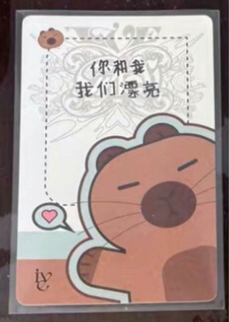 IVE 中国 中華 一直娱 yizhiyu yzy3.0 特典トレカ ウォニョン