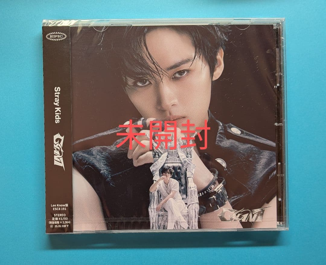 Stray Kids 未開封 全メンバーCD セット