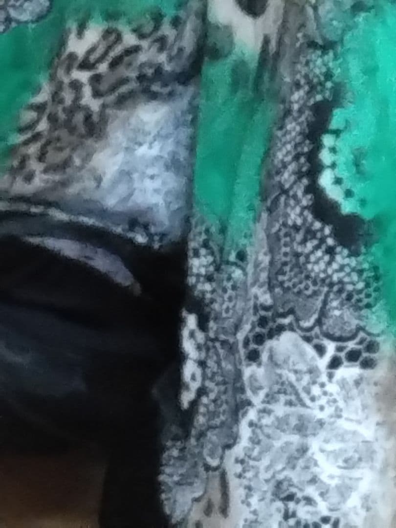 社交ダンス用ドレス 緑と黒のレオパード柄、グリーンのラインストーンが素敵なドレス