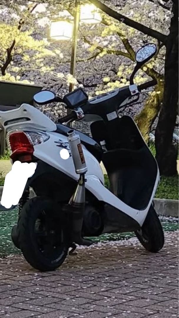 jogzr sa16j カメレオンファクトリー