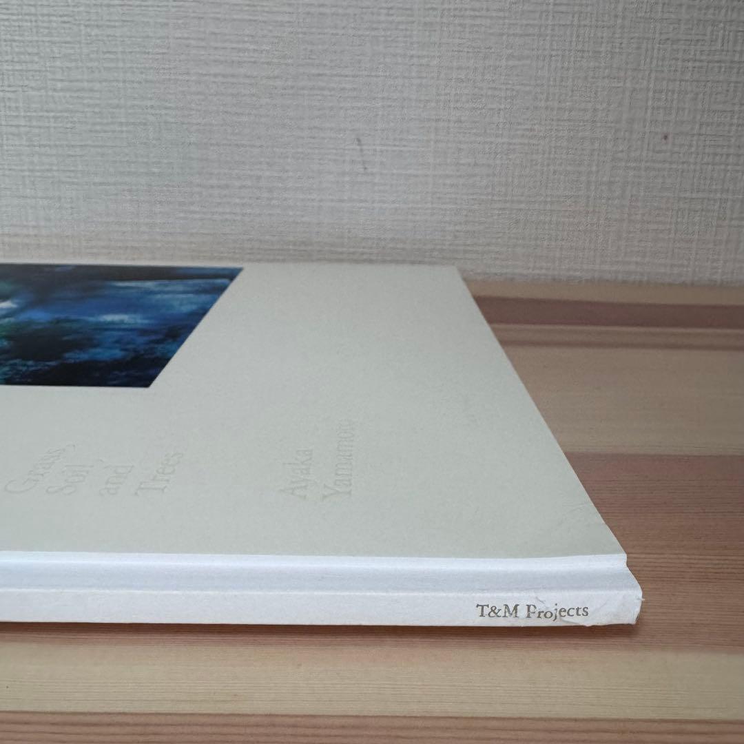 We are Made of Grass, Soil… 山元彩香