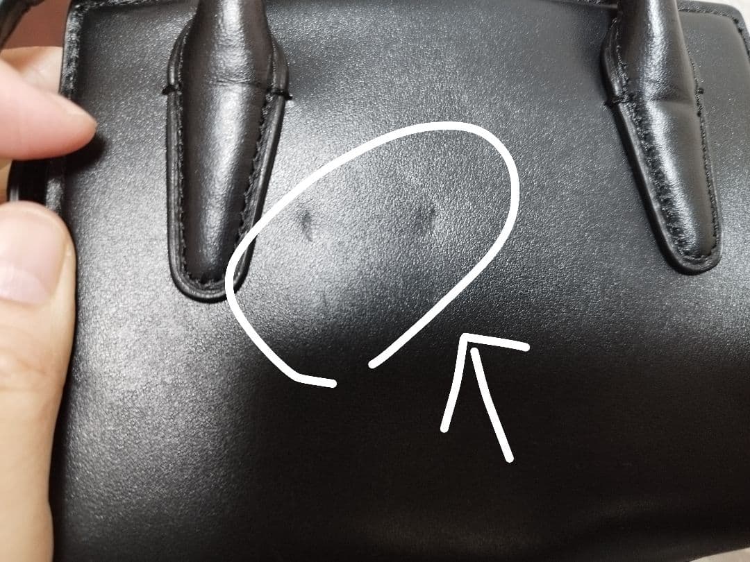 COACH アンドレアミニキャリーオール