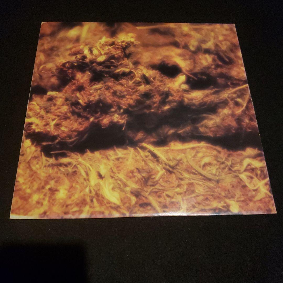 D'Angelo Brown Sugar 美品 2枚 セット