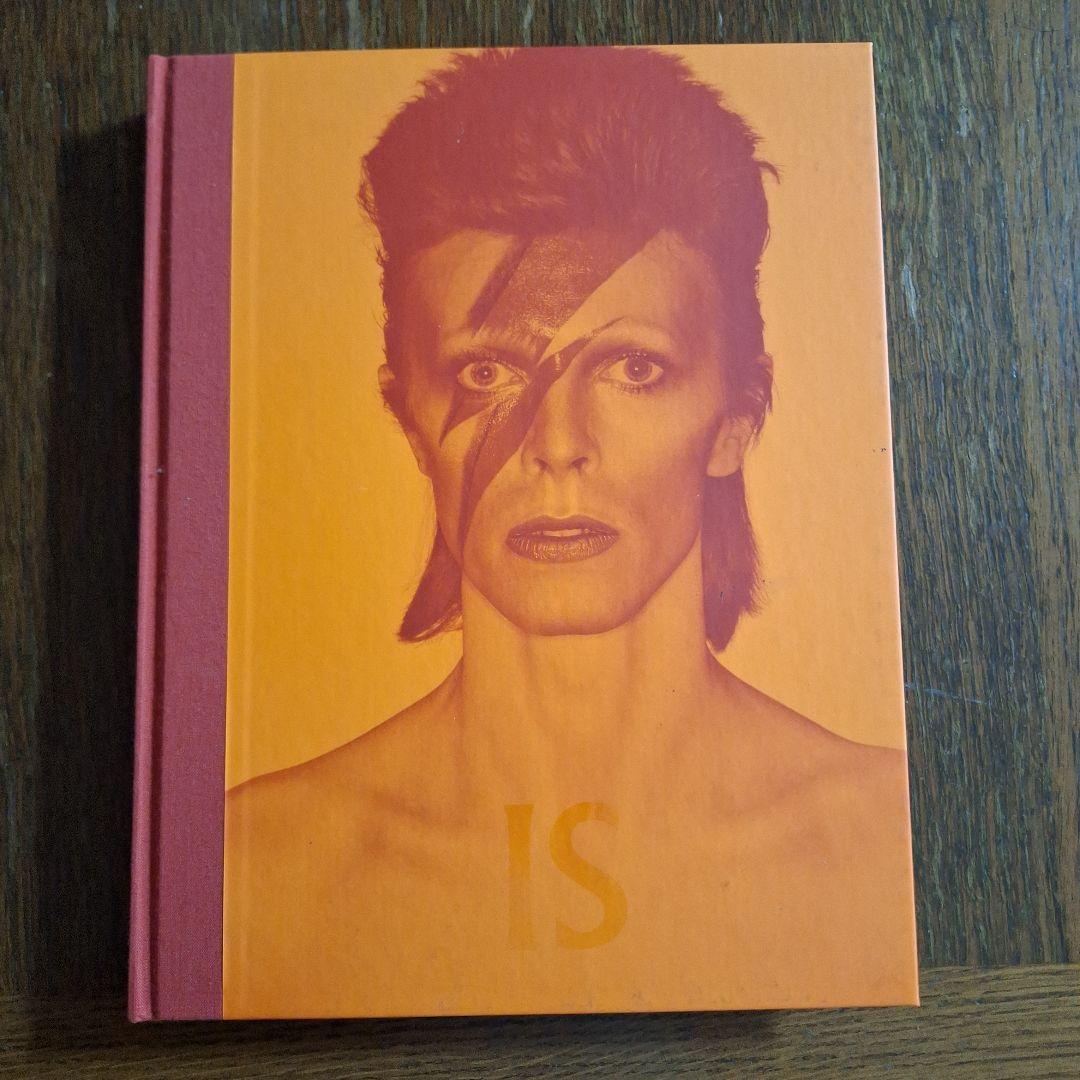 初版版・DAVID BOWIE IS / デヴィッド・ボウイ・イズ　大回顧展図録