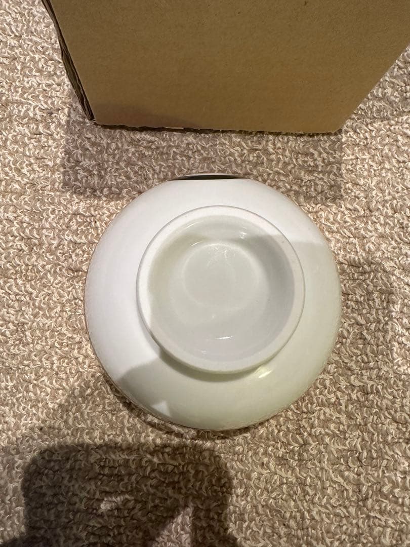 限定　抽選　懸賞　吉野家 ポケ盛り ポケモン どんぶり シビルドン　茶碗