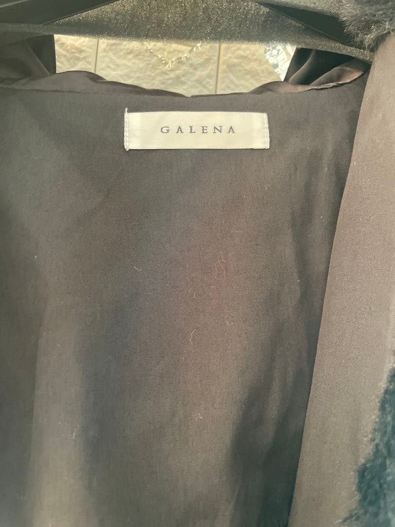 ガレナ　エコファーベスト