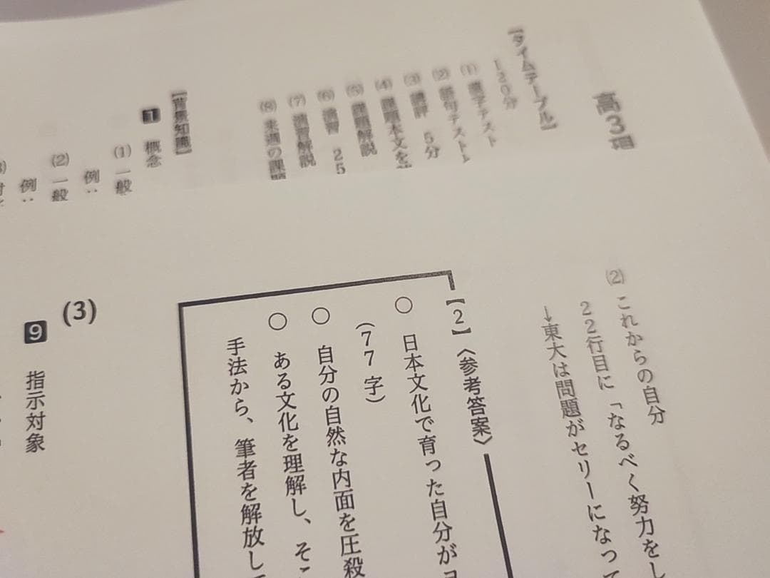 鉄緑会の24年高3現代文ハンドアウト現代文の要点フルセット　駿台　河合塾