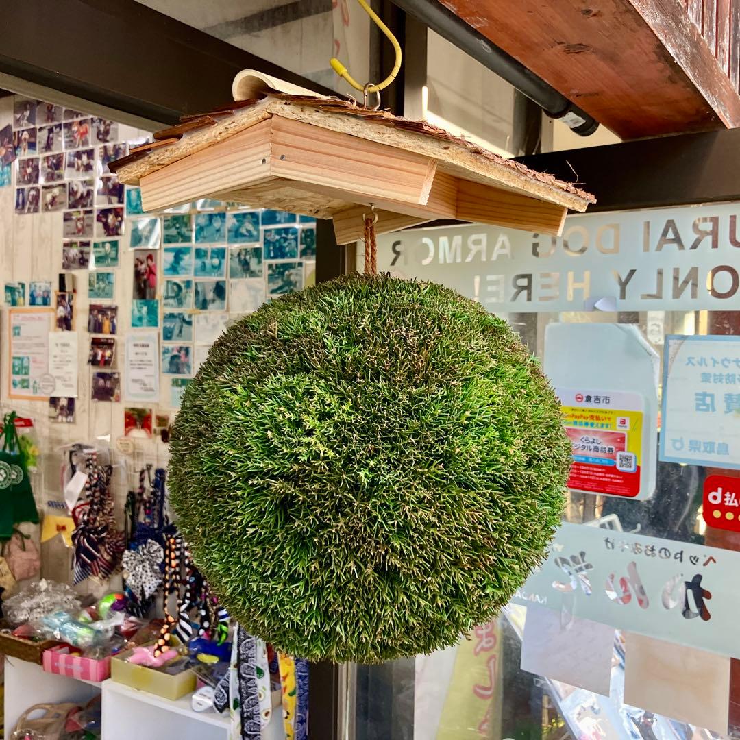 杉玉【屋根付き】③