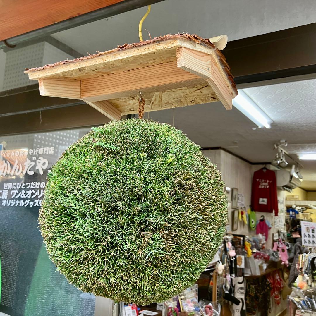 杉玉【屋根付き】③