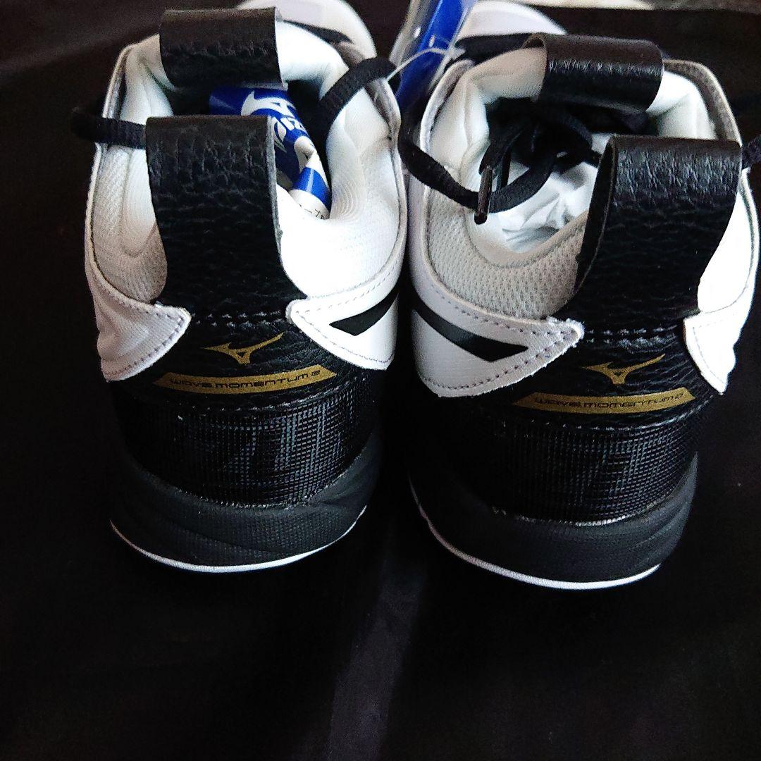 ミズノ バレーボールシューズ 24.5