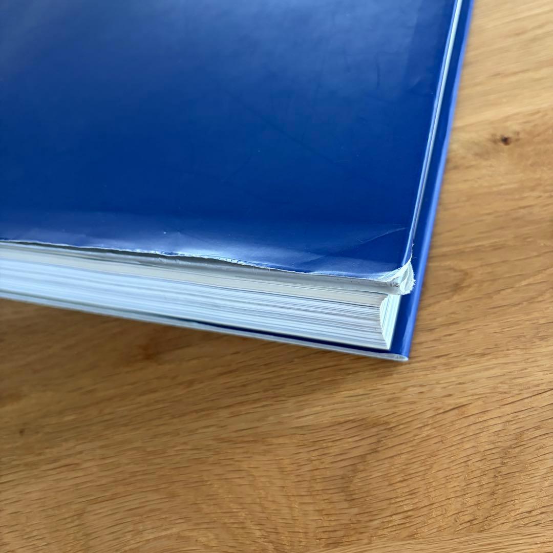 希少 documenta11 カタログ