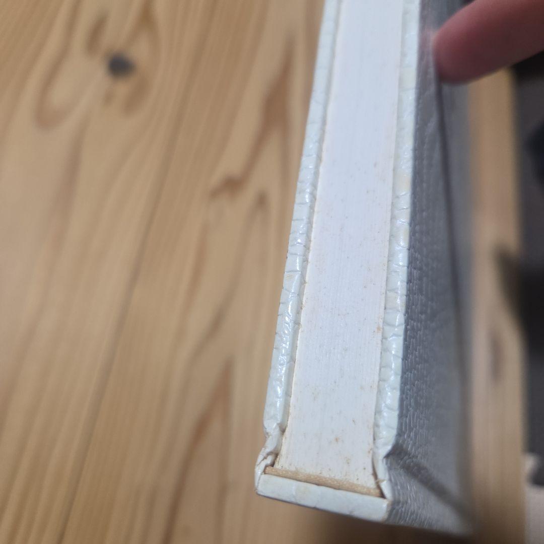 川内倫子　AILA 初版本