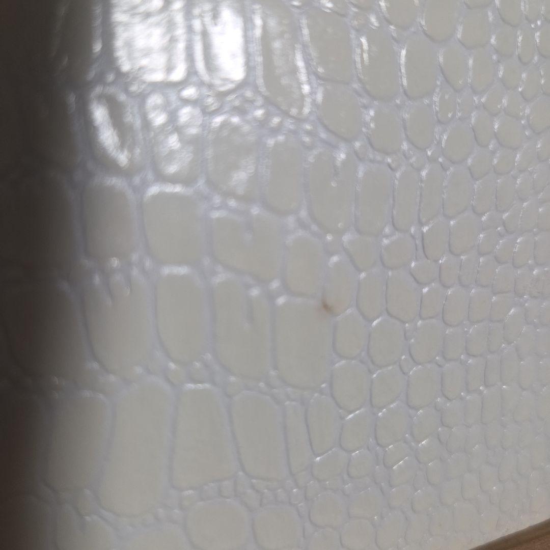 川内倫子　AILA 初版本