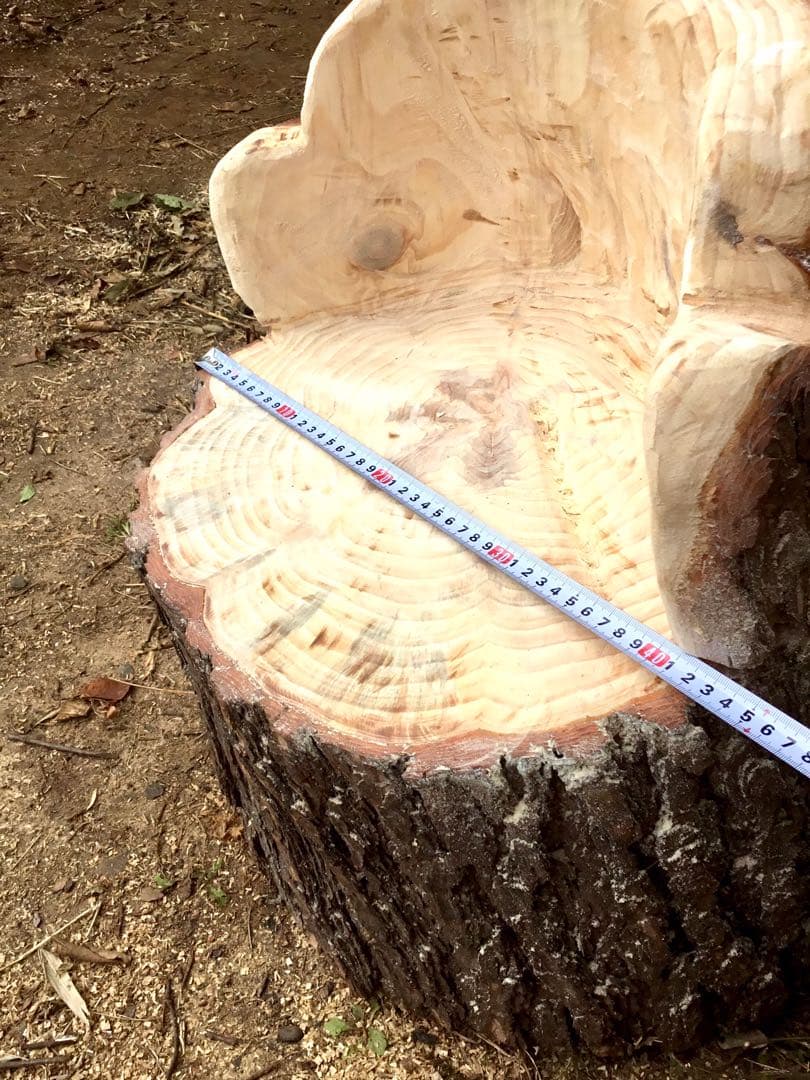 【販売済み】天然赤松/10/27に伐採しました赤松の大木でつくりました切り株椅子