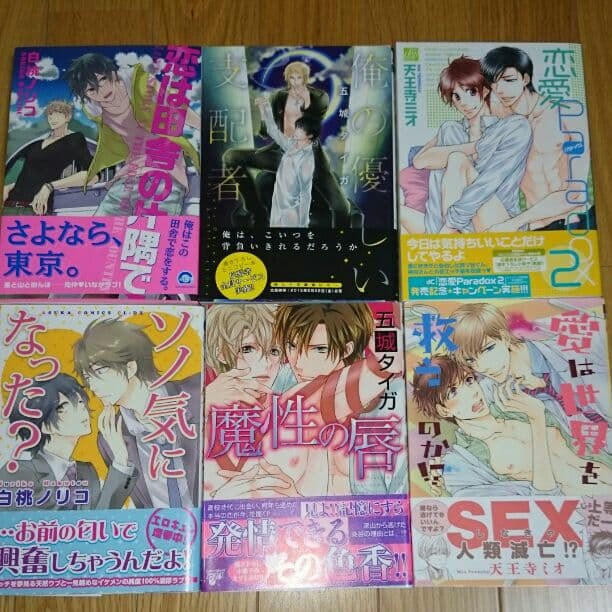 ＢＬコミックー１８冊