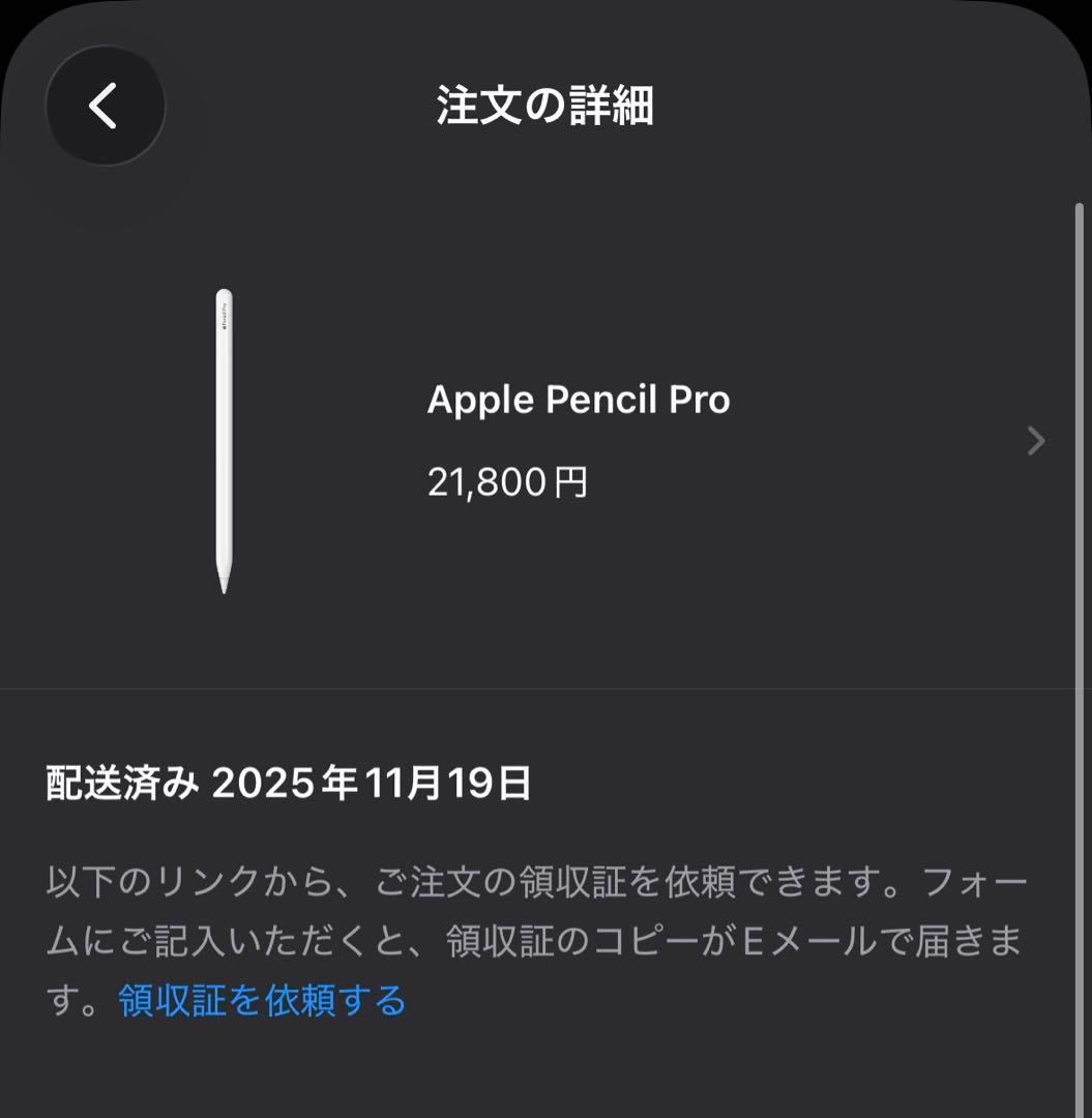 Apple M4 iPad Pro11× ApplePencil Proセット